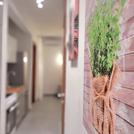 Urban Chic By Casa D'oro Soluň